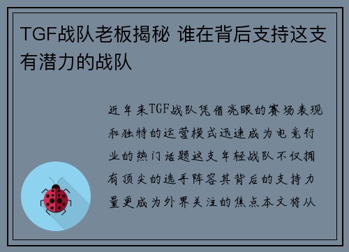 TGF战队老板揭秘 谁在背后支持这支有潜力的战队